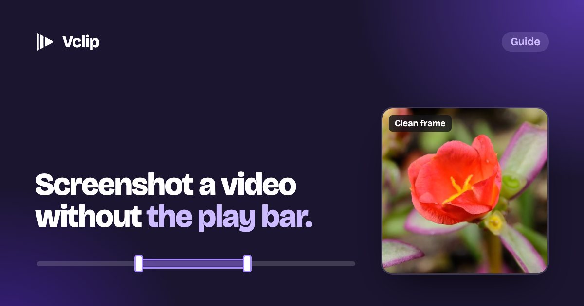 A clean still of a red flower taken from a video, under the words: screenshot a video without the play bar.